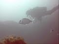 NARCOSIS TEAM VI
