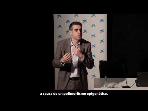 youtube-img