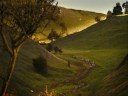Peter Ulrich of DCD \"Life amongst the black sheeps\"