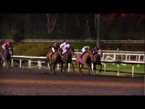 horses grand national