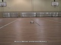 Skyhopper Video