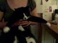 mew massage