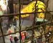 BVG Linie U55 Tunneltaufe