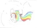 Rainbow Box Rainbow Box