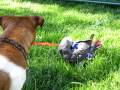 KaNicki-s-1st-Grass-