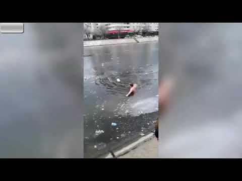 Przechodzeń wskoczył do zamarzniętej rzeki, żeby ratować psa