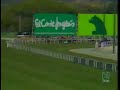 20061112: 5� carrera (BANNABY)