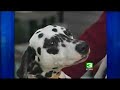 Bob Barker Promotes Mandatory Spaying, Neutering Of Pets
