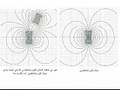 فهم الدماغ البشري بهدي القرآن