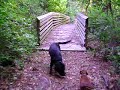 Skaggs In the Woods 1