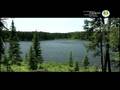 videos de Duck Mountains, Manitoba