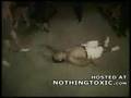 Cheaters Mike Tyson's Punch-Out!!