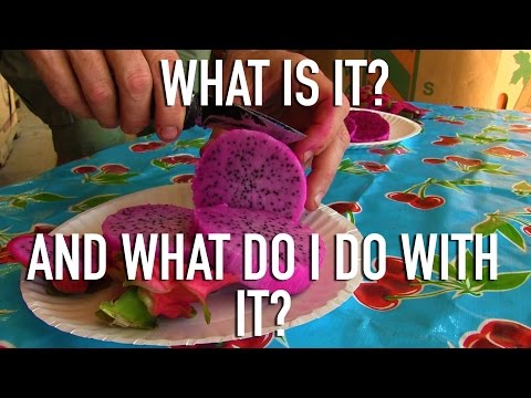 how to harvest dragon fruit seeds