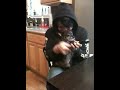 Video de Frank