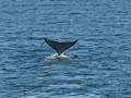 Destination unkown Baja California ,Episode 7 Destination unkown Baja California ,Episode 7