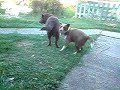 LG U990 120 fps test