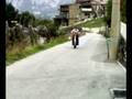 videos de GRILLO