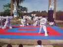 TAEKWONDO CORRIENTES