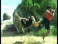 Yoga Budo - WAY OF THE WORRIER - SRI LANKA 3/6 (singhala film, part 3)