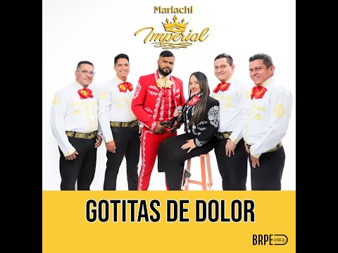 Video de la agrupación Mariachi Imperial Valledupar