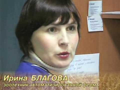 Первая роботизированная ферма в России