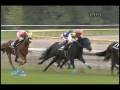 videos de [レースリプレイ] 081115 5東京3 10R 山中湖特別