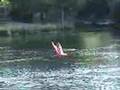 RC car, boat, plane. Hydrofoam.