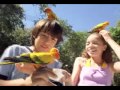Discovery Cove - Swimming with Dolphins
