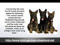 German Shepherd Dog Facts - GSD Facts