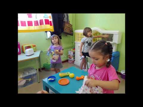 Imatge de previsualització de YouTube