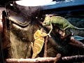 FAILED Veiled Chameleon Mating (Attempt 1- Part 2)