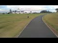 Walking the dogs
