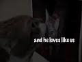 Thumbnail #3