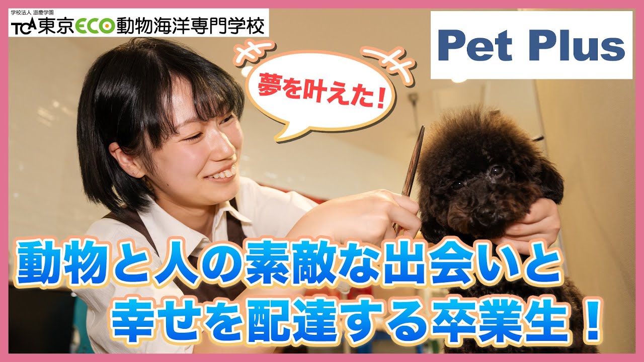 Pet Plus(ペットプラス)でトリマーとして活躍する卒業生にインタビュー！