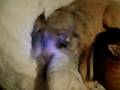 Click to View