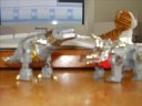 Wst transformers Stop Motion
