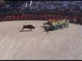 Sabugal-Forcalhos-2008 Festival forcão -pitchfork bullfight