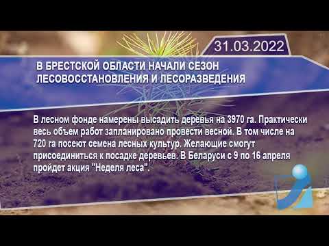 Новостная лента Телеканала Интекс 31.03.22.
