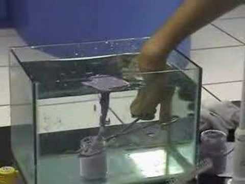 Project Deuteronomy : States of Matter