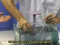 Project Deuteronomy : States of Matter