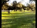 Ramiro portero taliga