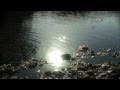 Waterflow / SALU (PRO. DJ YAMINO)
