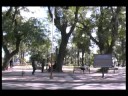 Un Minuto por mis Derechos - En busca de una respuesta