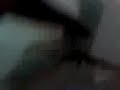 patadas ninja