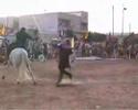 Torneo y Cortejo Medieval - Ditirambo Cartagena Torneo y Cortejo Medieval - Ditirambo Cartagena
