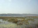 Wetlands Music 2 - Khabeki Lake a RAMSAR Wetland Site -