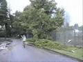 Desastres Tornado Arauco.