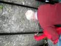 Kissing the Blarney Stone