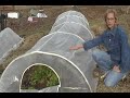 Row Greenhouse Review