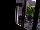 Tequila met een augurk